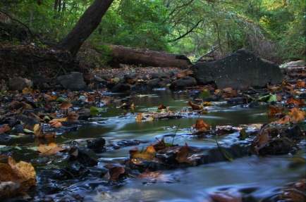 Sligo Creek